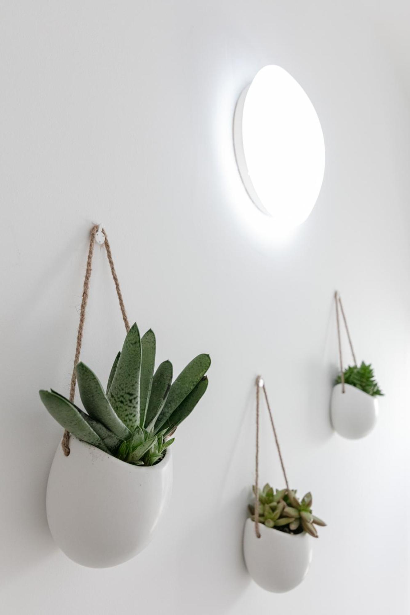 Dea Apartrooms Termoli Ngoại thất bức ảnh